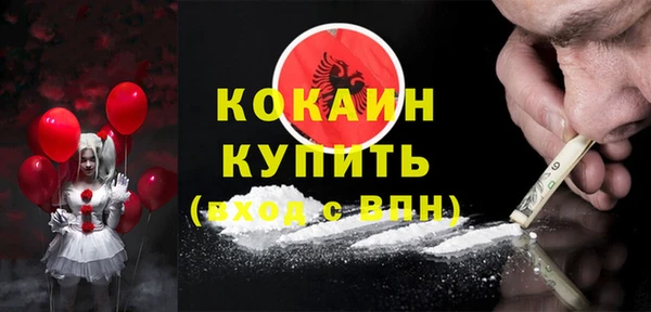 тгк Бородино