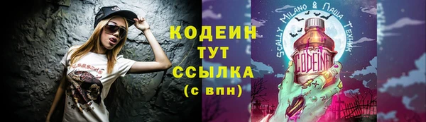 тгк Бородино
