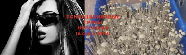 тгк Бородино