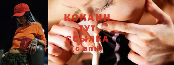 тгк Бородино