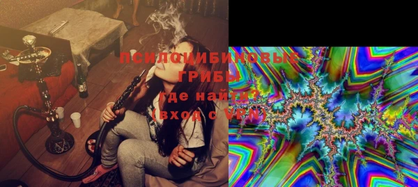 тгк Бородино