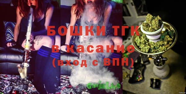 тгк Бородино