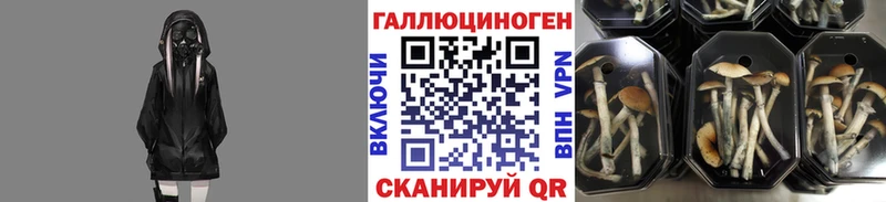 как найти закладки  Нефтекамск  ОМГ ОМГ ONION  Псилоцибиновые грибы GOLDEN TEACHER 