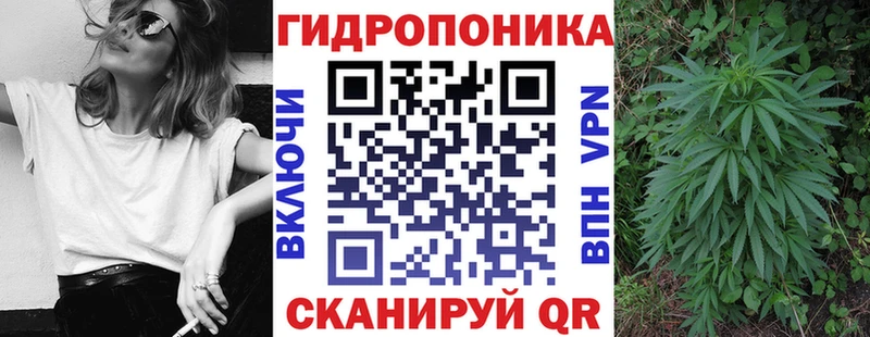 Бошки марихуана гибрид  как найти наркотики  Нефтекамск 